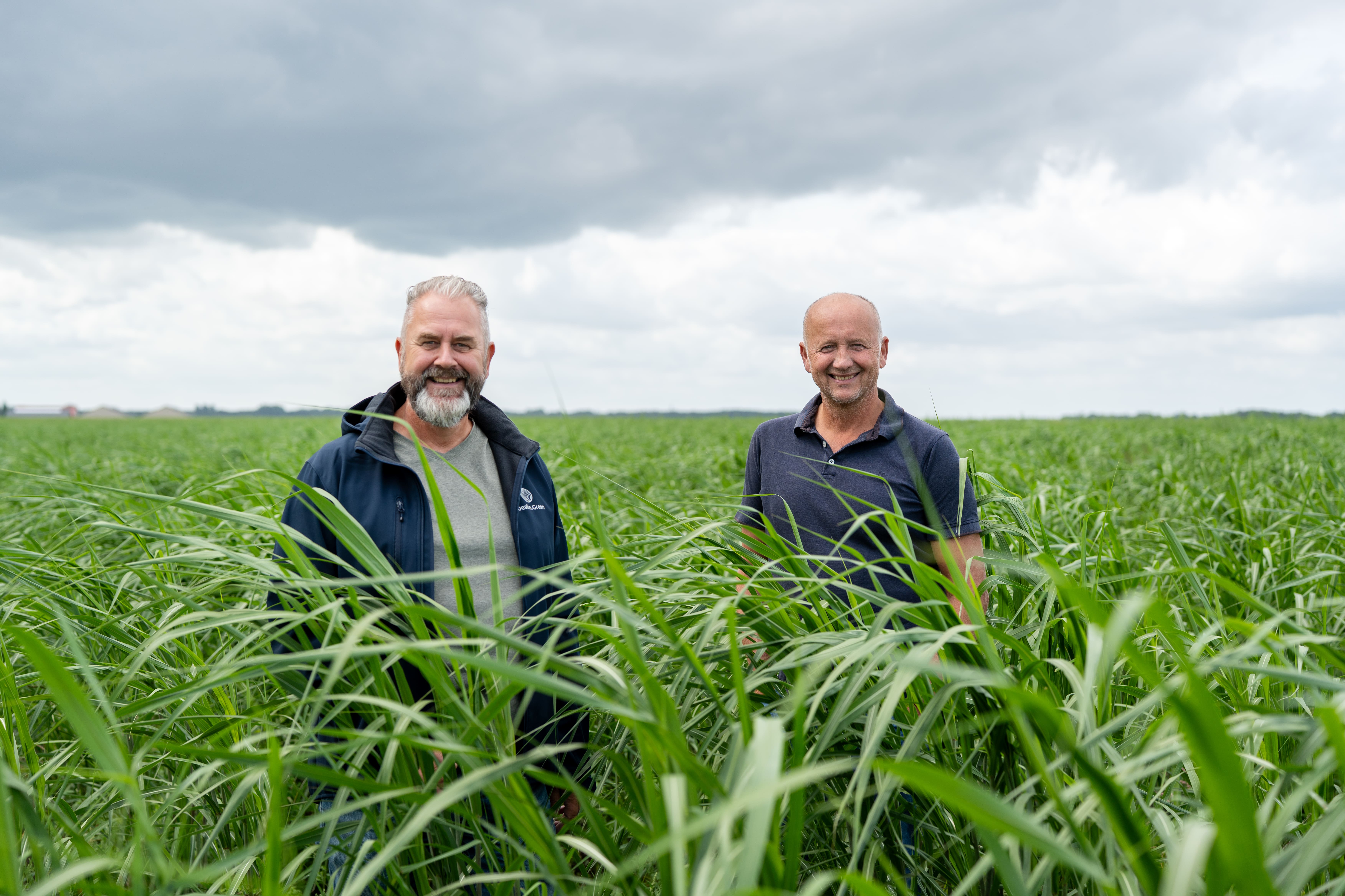 Telers en landeigenaren