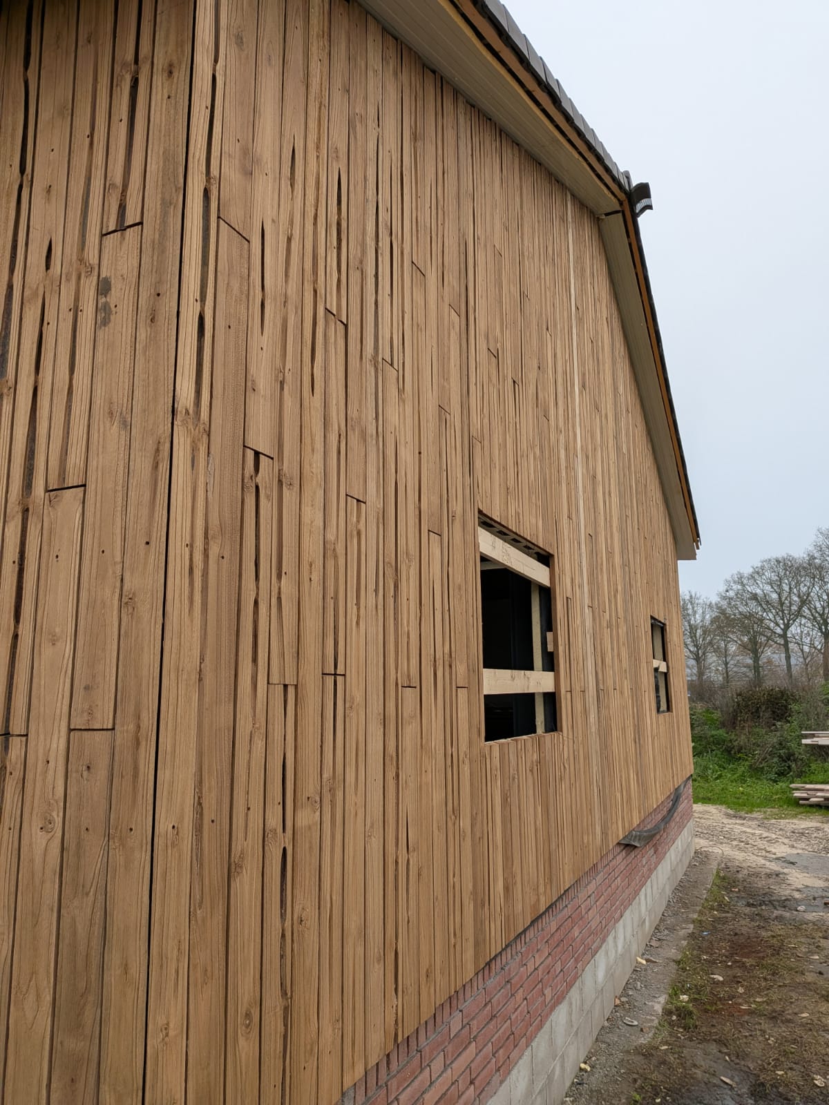 Paulownia hout