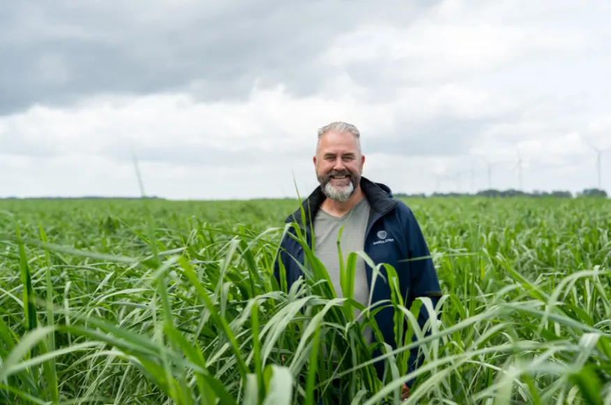GLB 2027: wat betekent de nieuwe regeling voor Miscanthus?