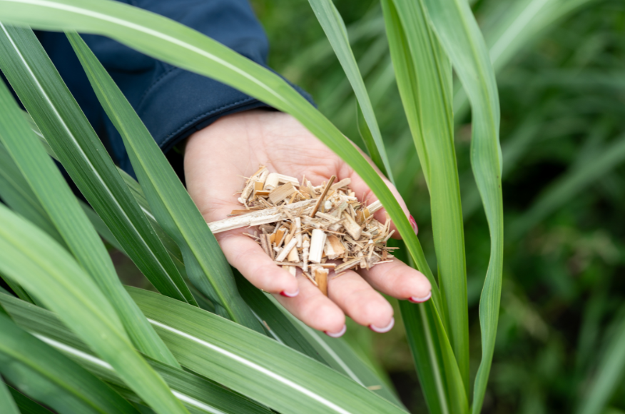 Dealin.Green genomineerd voor de Beter Verbouwen Bokaal 2026