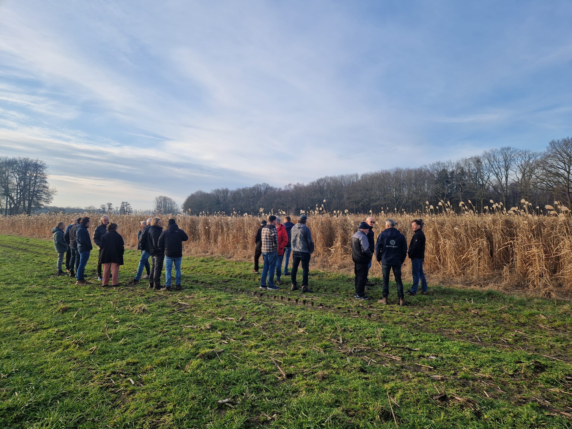 Extra Miscanthus-middag in Frederiksoord