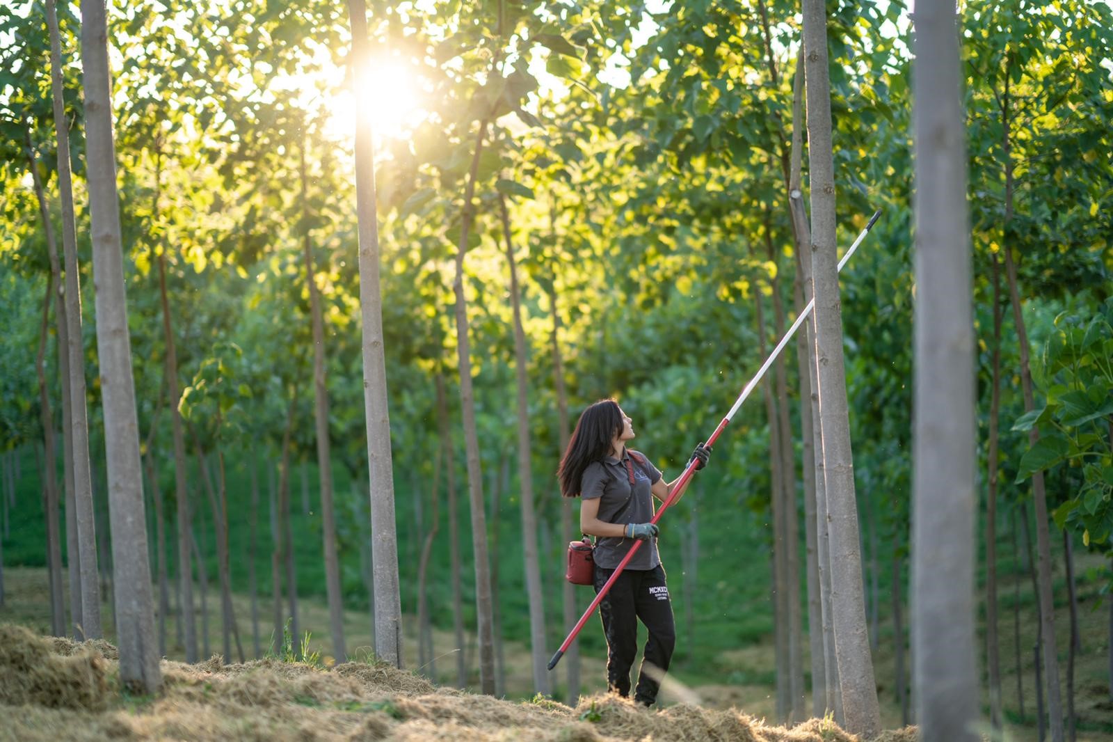 Het verschil tussen bovengrondse en ondergrondse Carbon Credits