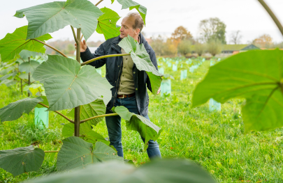 Wat is een Carbon Credit? (En waarom is het interessant voor telers)?