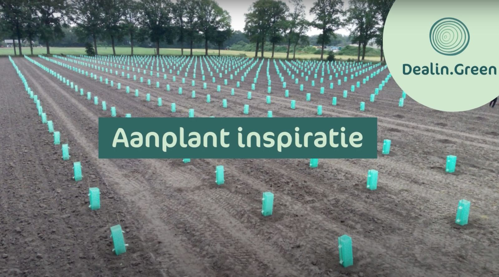 Work in progress! De aanplant van 2024 is gestart